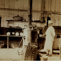 imagen1.jpg